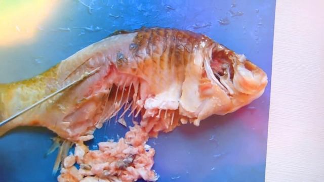 Рыбные котлеты. Кулинарные секреты fish cutlets смотреть онлайн