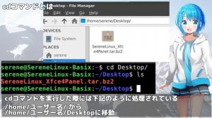 【水瀬玲音が教えるBash講座】#2 manコマンドとは、cdコマンドとは、echoコマンドとは #SereneLinux