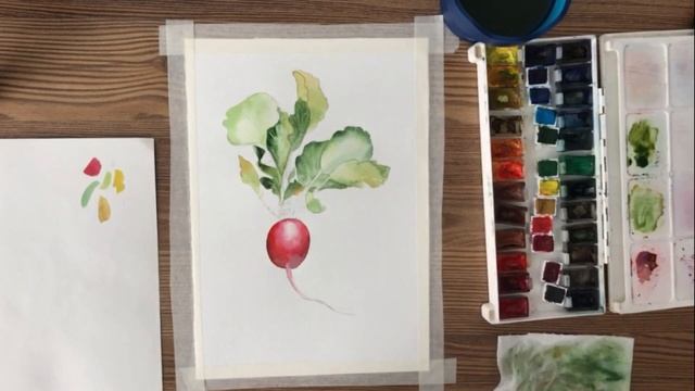 Как нарисовать акварелью редис. Бесплатный видеоурок