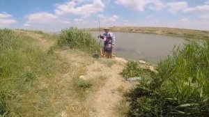 Сом на кукурузу (рыбалка в Славянком районе на реке Кубань)