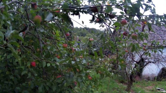 ЗЕМЕЛЬНЫЙ УЧАСТОК В СОЧИ! ВОЛКОВКА! МИКРОРАЙОН ДАГОМЫС. УЛИЦА КОСМИЧЕСКАЯ. 4 МЛН. РУБЛЕЙ. смотреть онлайн