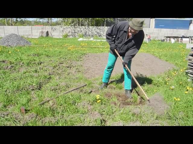Высокий урожай помидор,без усилий смотреть онлайн