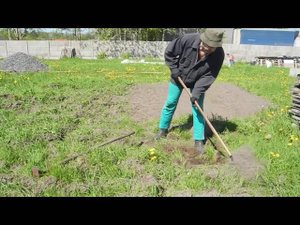 Высокий урожай помидор,без усилий