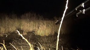 ОХОТА НА САМЦА КОСУЛИ НОЧЬЮ С ARMYTEK PREDATOR PRO EXTENDED SET