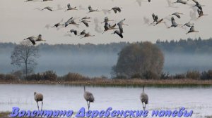 "Осень"  Алексей Медведев