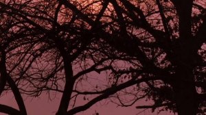 ЧТО ТАКОЕ ИСКУССТВО? / видеоэссе