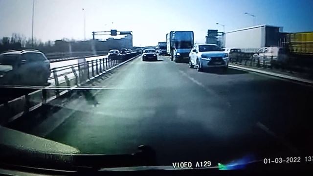 Lewopasmowiec w Lexusie i poganiacze z dostawczego renault i Iveco. @Wojciech Zawada смотреть онлайн