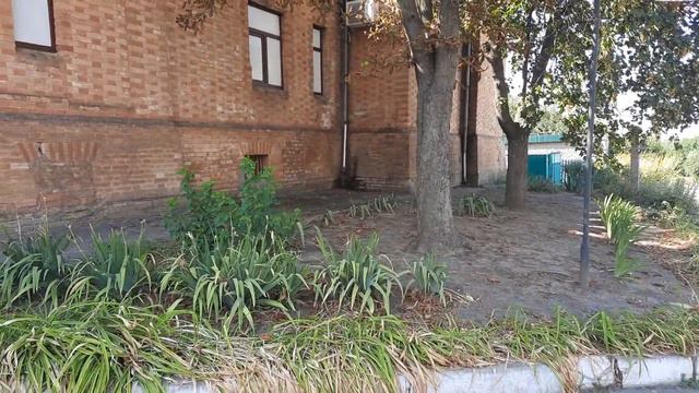 Васильевка. Замок Попова.