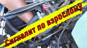 ОЧЕНЬ ГРОМКИЙ СИГНАЛ НА ГАЗЕЛИ)