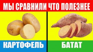 Батат И Картофель. Мы Сравнили Что Полезнее