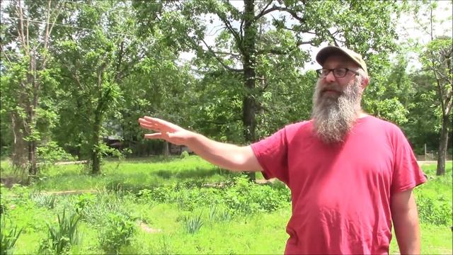 Lambs Quarter Omelettes? Roses. Memory Lane. смотреть онлайн