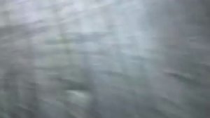 Содержание кур -несушек в клетке на даче.