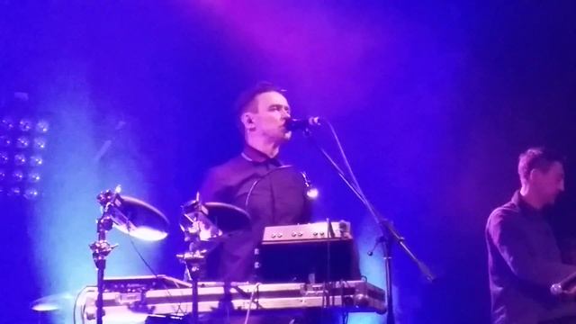 Дельфин. Андрей Лысиков смотреть онлайн