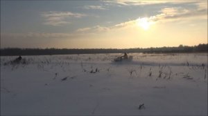 Охота на лося. Загонная охота в Тверской области. Russian hunting for moose.