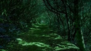 ОСОЗНАЙ ПРИЧИНУ СВОЕЙ БОЛЕЗНИ и исцели себя. Метод Лууле Виилма.