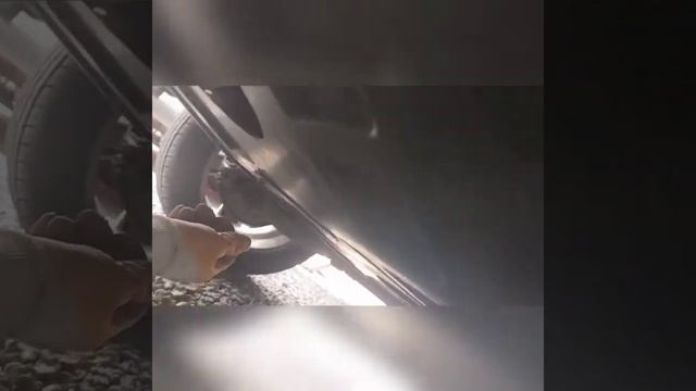 Vaneo spare tire removal смотреть онлайн