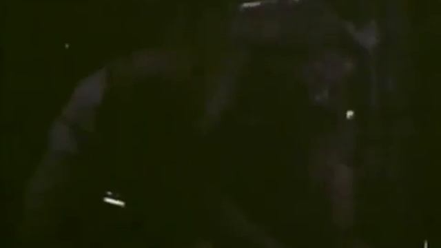 Jin Ping Mei - The Mane 2020 смотреть онлайн