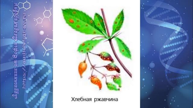 Биология 7 кл Пасечник $7 Грибы - паразиты растений, животных, человека