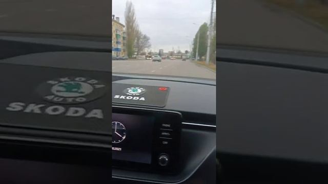 Отзыв о прошивке АКПП на Skoda Rapid G2 софтом от Skoda Octaiva смотреть онлайн