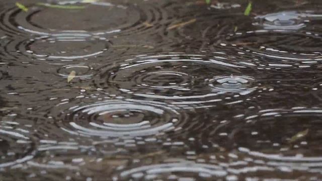 Клип на песню 'Капли дождя' / исполнение под гитару и боян смотреть онлайн