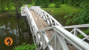 Поезд в Большое Болдино