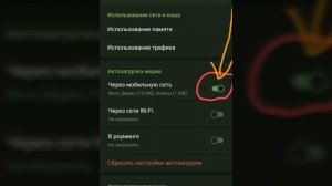 Как отключить в Телеграмме автозагрузку фото, видео и файлов?