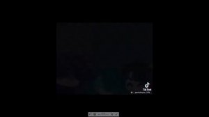 Подборка видео из тик тока 13 карт Земля королей