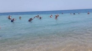 Egypt . Hurghada . ROYAL LAGOONS AQUA PARK RESORT 5