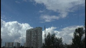 Подход грозовой тучи в ускоренном режиме #тучи