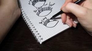 Эффекты нарощенных  ресниц. Схемы. Лисий, Беличий, Кукольный..mp4