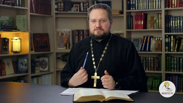 Сумасшествие или беснование ? Священник Владислав Береговой