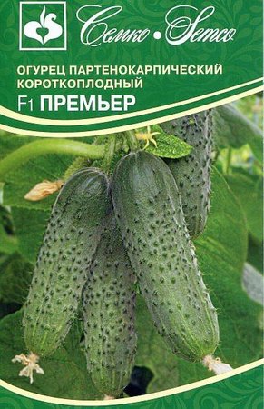 Огурец Премьер - 2