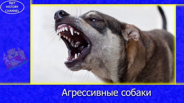 Новости Воронежа (2 августа - 6 августа) смотреть онлайн