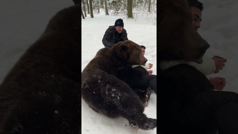 С днем рождения))