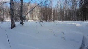 Прикормочные площадки (кормушки) для копытных