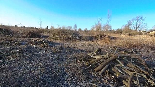 Как очистить и углубить пруд Спасаем пруд! Будет копать, чистить и углублять старый пруд и свой пру