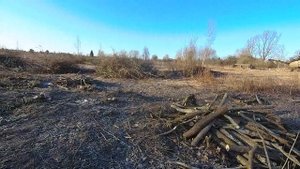 Как очистить и углубить пруд Спасаем пруд! Будет копать, чистить и углублять старый пруд и свой пру