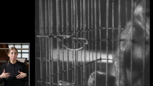 Лекция «Авангардист как новатор-архаист: к 125-летию Сергея Эйзенштейна»
