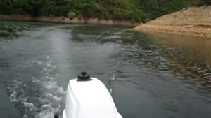 SUZUKI 3.5