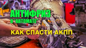 ? Антифриз убьёт вашу АКПП. Как предотвратить?