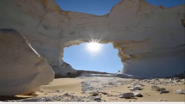 Кремниевая форма жизни Гигантские болотные кувшинки смотреть онлайн