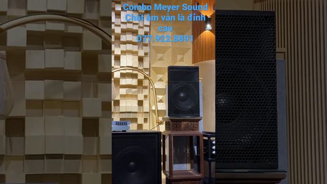 Chất Âm Đỉnh Cao Đến Từ Thương Hiệu Meyer Sound UPA-1P và Meyersound 650P | Hoàng Nam Audio