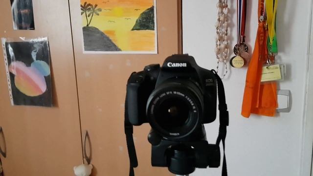 Présentation du Canon EOS 2000D смотреть онлайн
