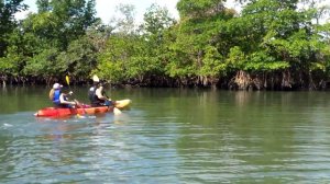 Парк Олета Ривер - Майами, (Oleta River State Park )