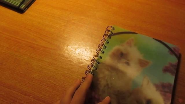 Для чего можно использовать блокноты и тетради . смотреть онлайн