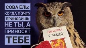 Сова Ёль взялась за распаковку посылок, не дождавшись меня. Сова-делова и много УГУ