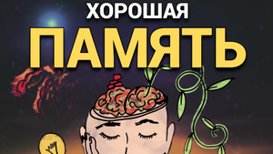 Как улучшить  память? | 5 простых Упражнений