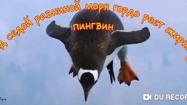Сказка про пИнгвина--автор не известен смотреть онлайн