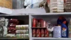 Мыши (дерутся)