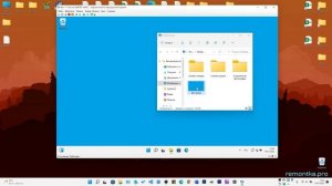 Как изменить обои Windows 11 и Windows 10 без активации